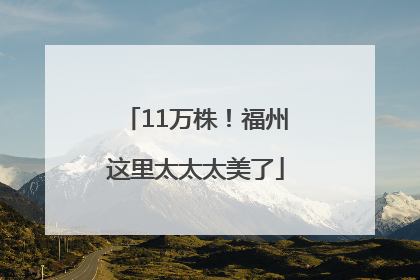 11万株！福州这里太太太美了