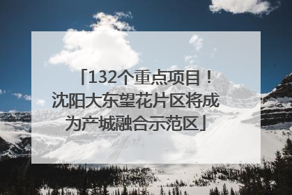 132个重点项目！沈阳大东望花片区将成为产城融合示范区