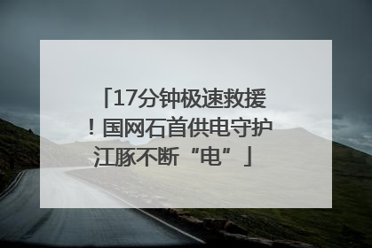 17分钟极速救援！国网石首供电守护江豚不断“电”