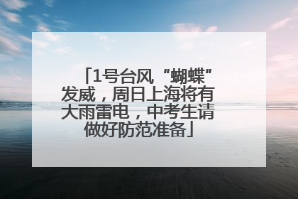 1号台风“蝴蝶”发威，周日上海将有大雨雷电，中考生请做好防范准备