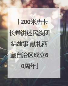 200米唐卡长卷讲述民族团结故事 献礼西藏自治区成立60周年