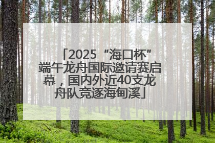 2025“海口杯”端午龙舟国际邀请赛启幕，国内外近40支龙舟队竞逐海甸溪