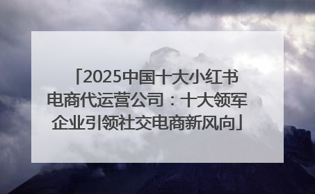 2025中国十大小红书电商代运营公司：十大领军企业引领社交电商新风向