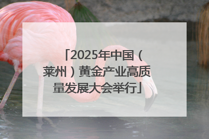 2025年中国（莱州）黄金产业高质量发展大会举行