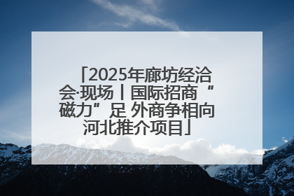 2025年廊坊经洽会·现场丨国际招商“磁力”足 外商争相向河北推介项目