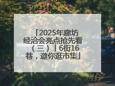 2025年廊坊经洽会亮点抢先看（三）丨6街16巷，邀你逛市集