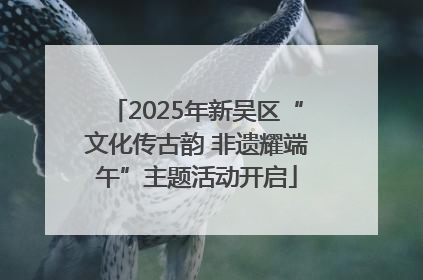 2025年新吴区“文化传古韵 非遗耀端午”主题活动开启