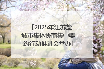 2025年江苏盐城市集体协商集中要约行动推进会举办