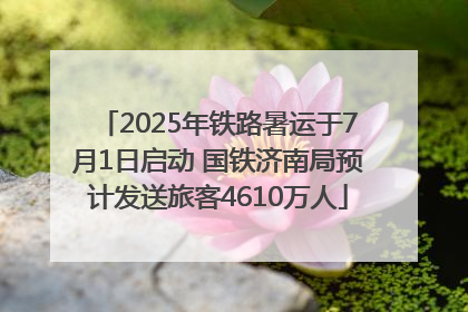 2025年铁路暑运于7月1日启动 国铁济南局预计发送旅客4610万人