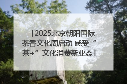 2025北京朝阳国际茶香文化周启动 感受“茶+”文化消费新业态