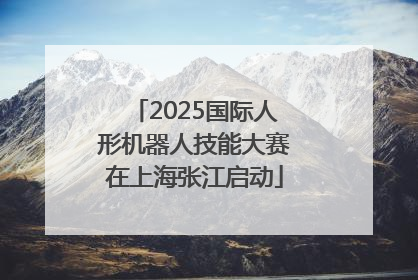 2025国际人形机器人技能大赛在上海张江启动