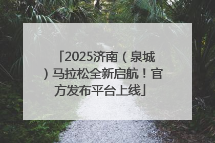 2025济南（泉城）马拉松全新启航！官方发布平台上线