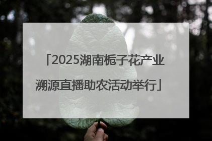 2025湖南栀子花产业溯源直播助农活动举行