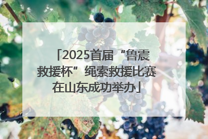 2025首届“鲁震救援杯”绳索救援比赛在山东成功举办