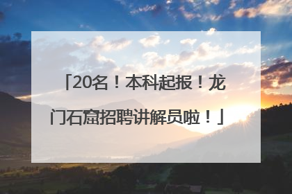 20名！本科起报！龙门石窟招聘讲解员啦！
