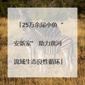 25万余尾小鱼“安新家” 助力黄河流域生态良性循环