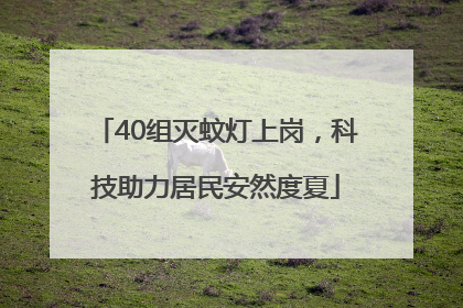 40组灭蚊灯上岗，科技助力居民安然度夏