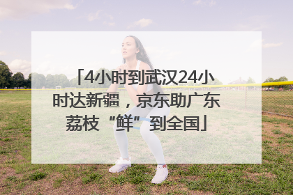 4小时到武汉24小时达新疆，京东助广东荔枝“鲜”到全国