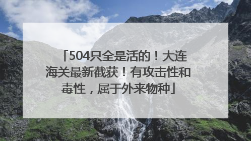 504只全是活的！大连海关最新截获！有攻击性和毒性，属于外来物种