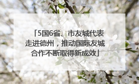 5国6省、市友城代表走进德州，推动国际友城合作不断取得新成效