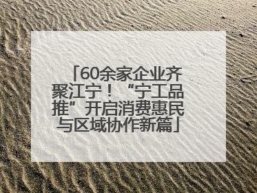 60余家企业齐聚江宁！“宁工品推”开启消费惠民与区域协作新篇