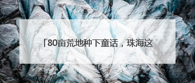 80亩荒地种下童话，珠海这对夫妻“为了家乡我愿意”