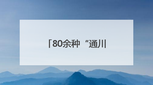 80余种“通川造”亮相西博会 广受客商青睐