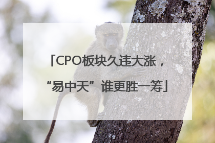 CPO板块久违大涨，“易中天”谁更胜一筹