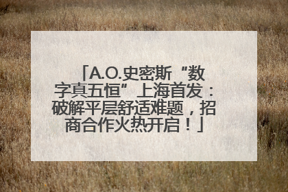 A.O.史密斯“数字真五恒”上海首发：破解平层舒适难题，招商合作火热开启！