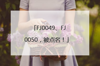 FJ0049、FJ0050，被点名！