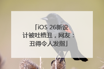 iOS 26新设计被吐槽丑，网友：丑得令人发指